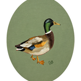 Mallard (9x12 Oval Canvas)