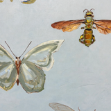 Order & Wonder (30x40 Canvas)