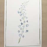Print Botanical Collection No. 8