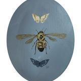 Honeybee (11x14 Oval Canvas)