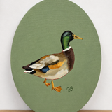 Mallard (9x12 Oval Canvas)