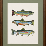 The Catch, Framed (29x35)