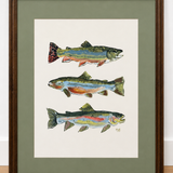 The Catch, Framed (29x35)